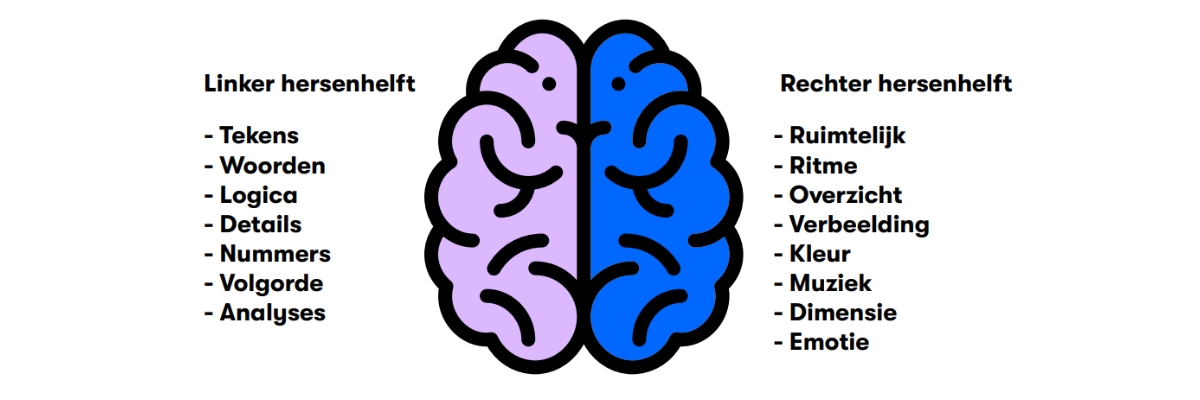 Werking hersenhelften